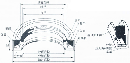 骨架油封