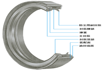 骨架油封