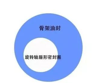 关于旋转轴唇形密封圈与骨架油封的区别